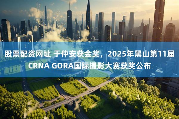 股票配资网址 于仲安获金奖，2025年黑山第11届CRNA GORA国际摄影大赛获奖公布