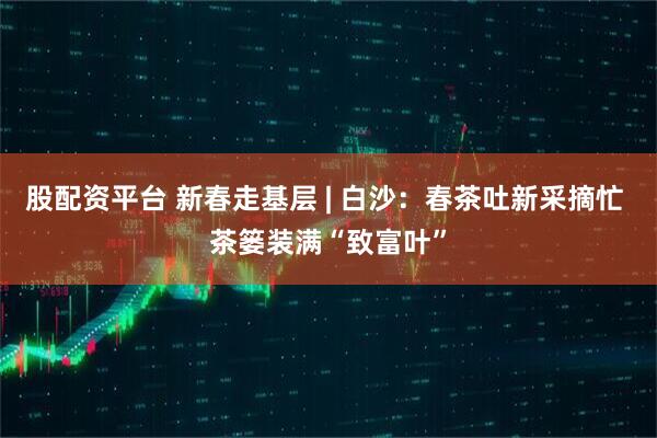 股配资平台 新春走基层 | 白沙：春茶吐新采摘忙 茶篓装满“致富叶”
