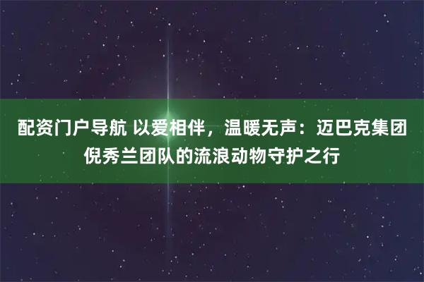 配资门户导航 以爱相伴，温暖无声：迈巴克集团倪秀兰团队的流浪动物守护之行