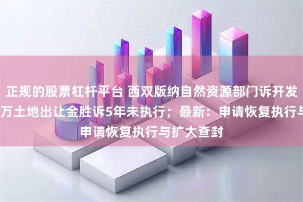 正规的股票杠杆平台 西双版纳自然资源部门诉开发商，8000万土地出让金胜诉5年未执行；最新：申请恢复执行与扩大查封